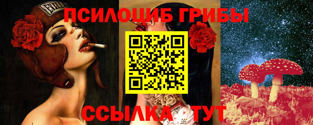 Нижнекамск  Псилоцибиновые грибы Magic Shrooms  Вход с VPN 
