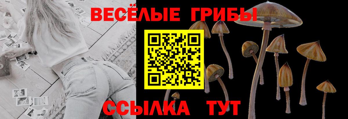 Галлюциногенные грибы MAGIC MUSHROOMS Нижнекамск